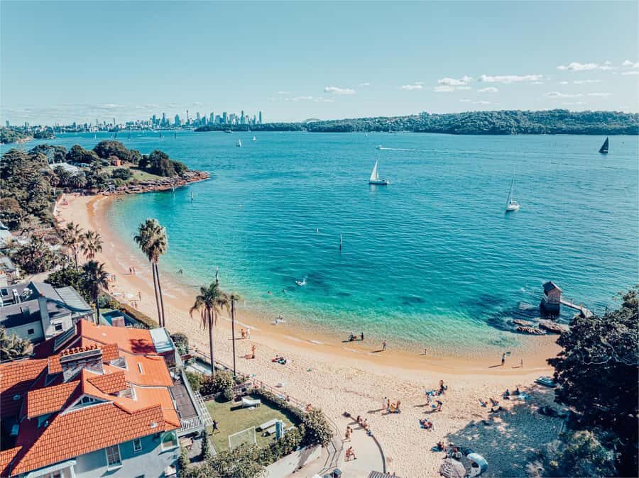 Sydney: Discover Scuba Dive at Australia's most Iconic Beach - What you can see under Sydney’s most iconic beach