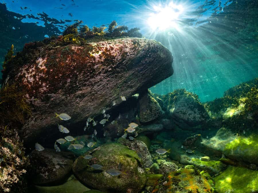 Sydney: Discover Scuba Dive at Australia's most Iconic Beach - Who this Bondi scuba intro is for (and who should skip it)