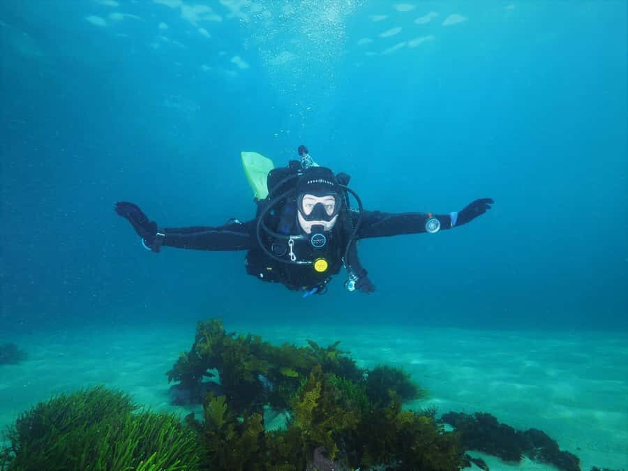 Sydney: Discover Scuba Dive at Australia's most Iconic Beach - Meeting point at 9:30 and what happens before you even get wet