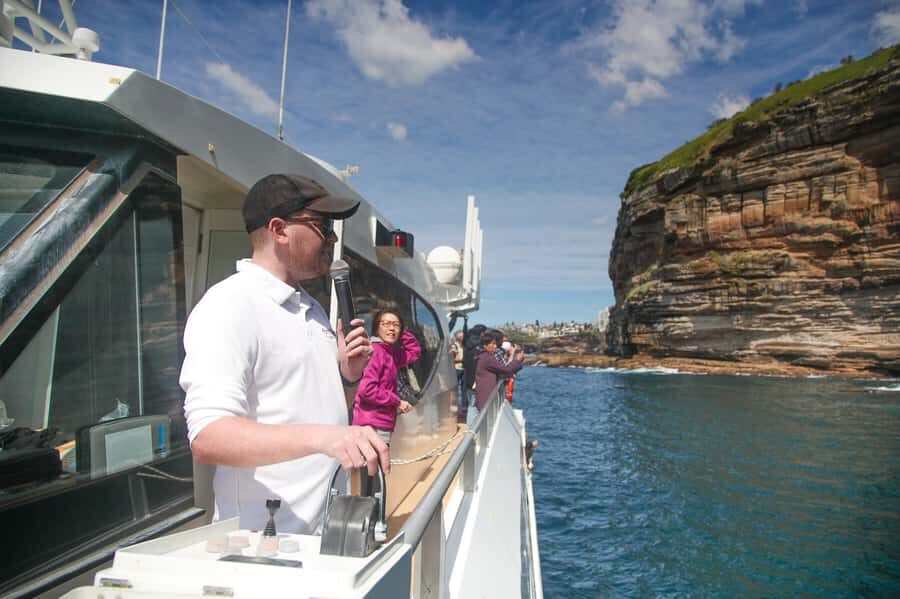 Sydney: Discovery Whale Watching Tour by Catamaran - Two decks, panoramic windows, and the sound issue to plan around