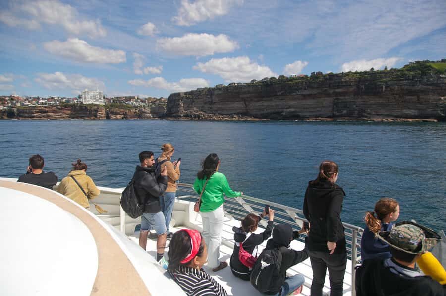 Sydney: Discovery Whale Watching Tour by Catamaran - Onboard photographer: worth it if you care about the proof
