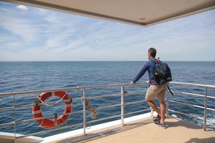 Sydney: Discovery Whale Watching Tour by Catamaran - Speed and sea comfort: the real consideration for motion sickness