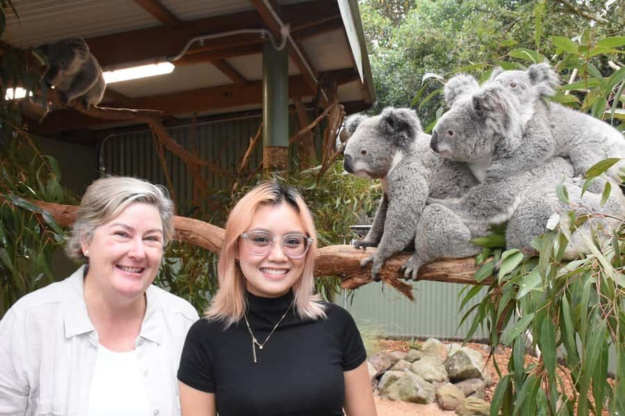 Sydney: Featherdale Wildlife Park Private Tour - Koalas up close: planning for the star, not just the poster picture