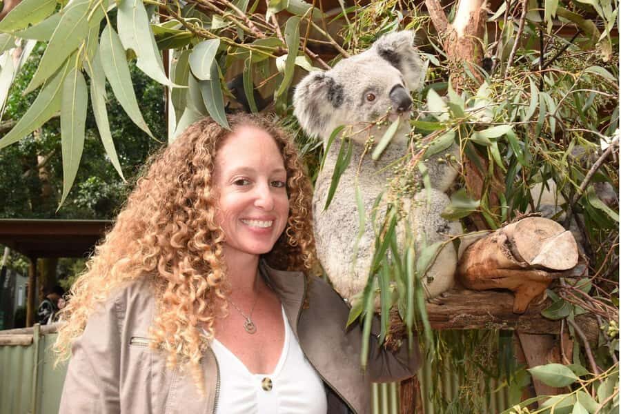 Sydney: Featherdale Wildlife Park Private Tour - Wallabies, wombats, echidnas, dingoes, and birds: the “more than koalas” factor