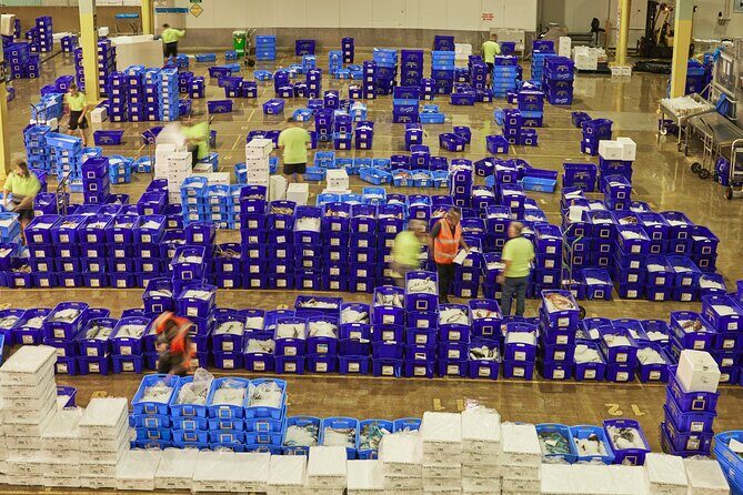 Sydney Fish Market Behind the Scenes Tour - Dutch auction system: watching seafood get sold at speed