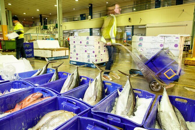 Sydney Fish Market Behind the Scenes Tour - What 2 hours feels like in real life