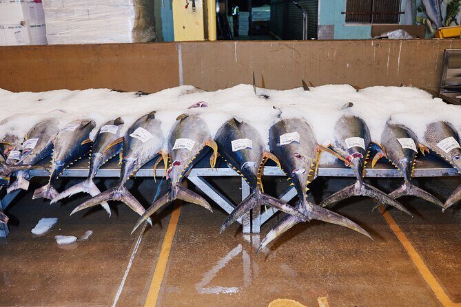Sydney Fish Market Behind the Scenes Tour - The first look on the auction floor (and why safety gear is part of the point)