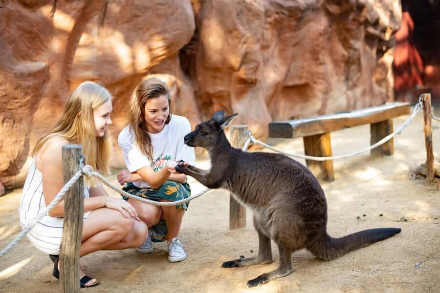 Sydney: Flexi Pass - Pick 3, 5 or 7 Experiences - Wildlife with real presence: Taronga, SEA LIFE, and WILD LIFE Sydney