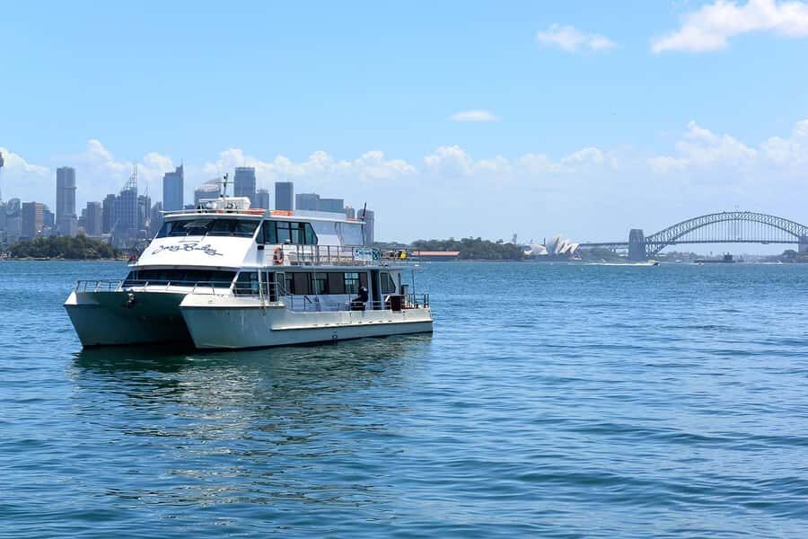 Sydney: Flexi Pass - Pick 3, 5 or 7 Experiences - Beyond the big sights: Maritime Museum, Chinese Garden, Devonshire tea, Calmsley Hill Farm