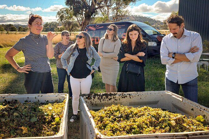 Sydney Grains and Grapes Hunter Valley Wine and Beer with Lunch - Key highlights to know before you go