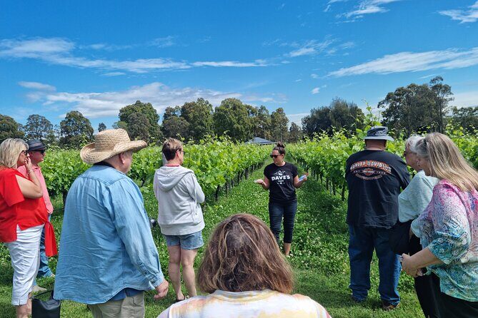 Sydney Grains and Grapes Hunter Valley Wine and Beer with Lunch - Final choice: wine with chocolate, or craft beer paddle
