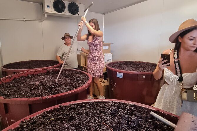 Sydney Grains and Grapes Hunter Valley Wine and Beer with Lunch - The Sydney-to-Hunter Valley day length (and how to enjoy it)