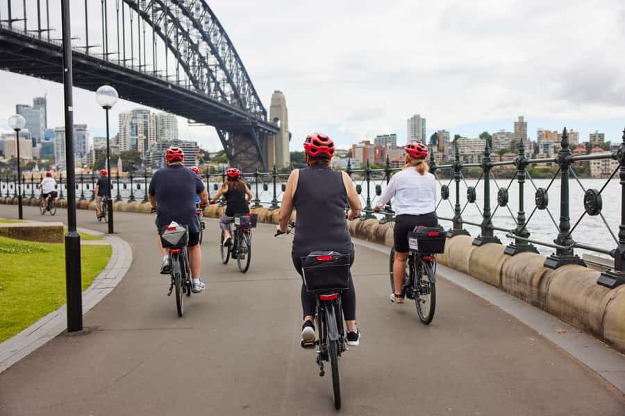 Sydney: Guided Harbour E-Bike Tour - The Domain and Sydney Observatory: setting the scene the easy way
