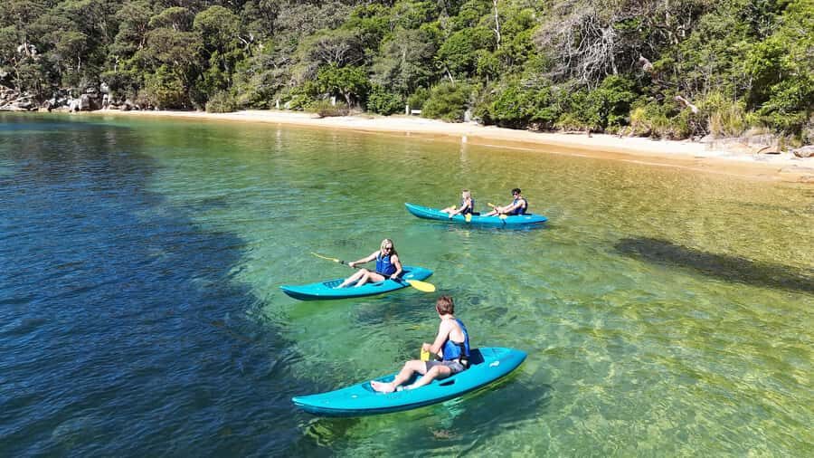 Sydney: Guided Kayak Taster Tour from Manly - Key Points to Know Before You Go