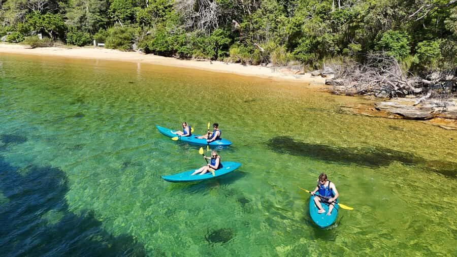 Sydney: Guided Kayak Taster Tour from Manly - Why This Manly Guided Kayak Taster Works for First-Timers