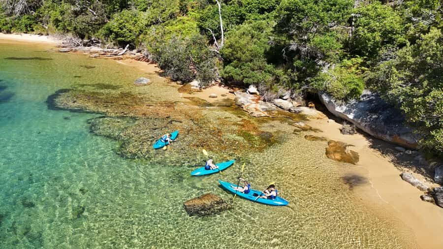 Sydney: Guided Kayak Taster Tour from Manly - Safety Briefing and Paddling Demo: Short, Practical, and Important
