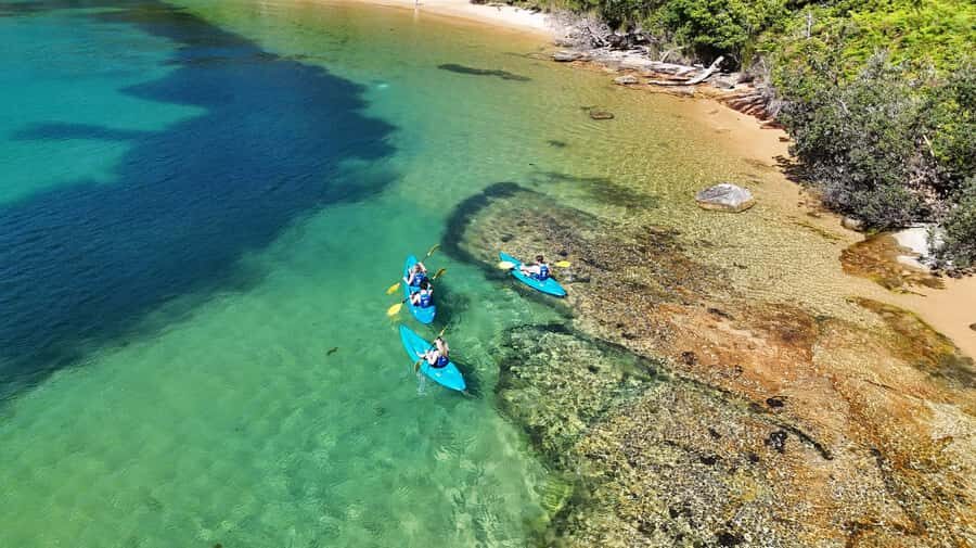 Sydney: Guided Kayak Taster Tour from Manly - Price and Value: Why $46 Can Make Sense Here