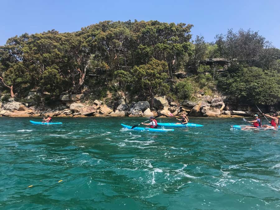 Sydney: Guided Kayak Tour of Manly Cove Beaches - Key Things That Make This Manly Cove Kayak Tour Worth Your Time