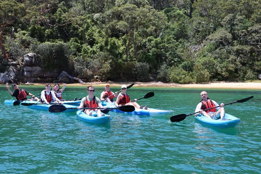 Sydney: Guided Kayak Tour of Manly Cove Beaches - Manly Cove by Kayak: The Secret Sydney Detour You’ll Actually Feel