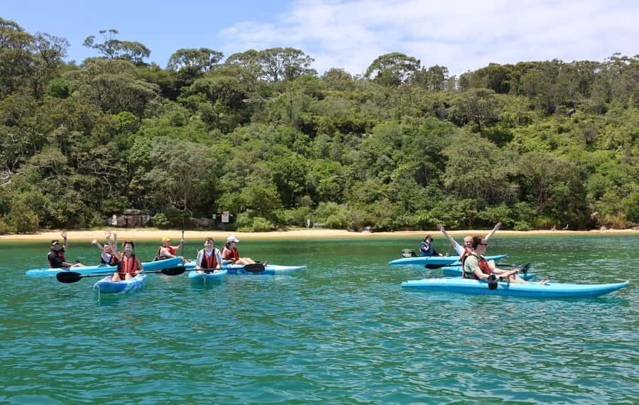 Sydney: Guided Kayak Tour of Manly Cove Beaches - Single vs Double Sit-on-Top Kayaks: Picking the Right Fit