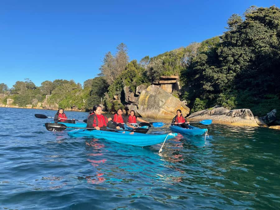 Sydney: Guided Kayak Tour of Manly Cove Beaches - Who This Manly Cove Tour Fits Best (and Who Should Skip It)