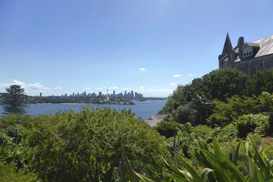 Sydney: Half-Day City Tour - Darling Point to Rose Bay: harborside suburbs and their stories