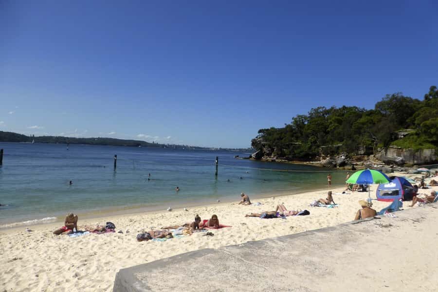 Sydney: Half-Day City Tour - Shark Beach and the coastal cliff logic