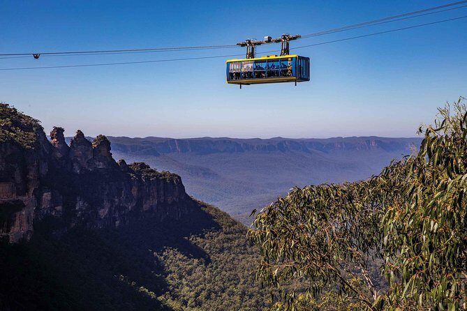 Sydney Half Day Highlights - Luxury Private Tour | Morning or Afternoon Avail - Should you book this Sydney Half Day Highlights private tour?