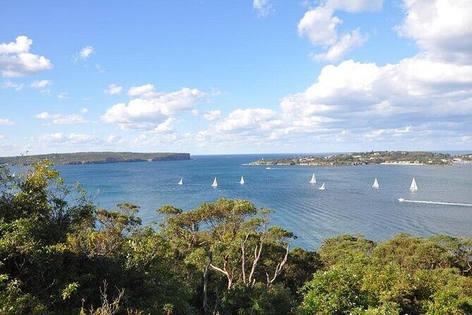 Sydney Half Day Private Tour - Price and value: what $288.61 per person is buying you