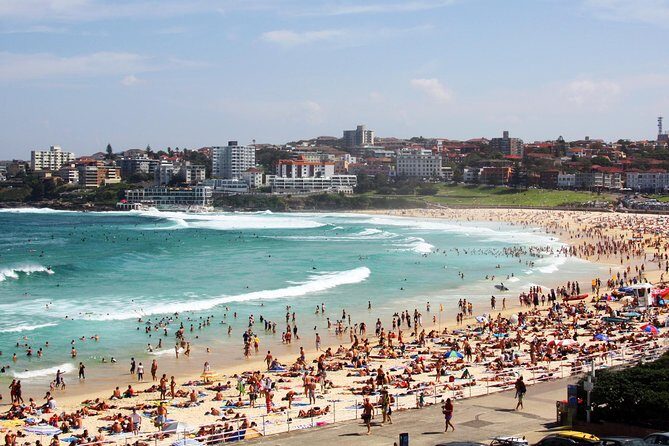 Sydney Half Day Private Tour: See Sydney Opera House and Bondi - Mrs Macquarie’s Chair: One Stop That Feels Like Two