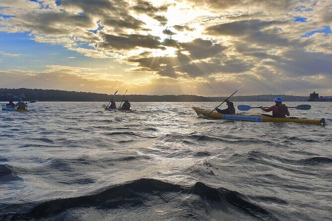 Sydney Harbour Bridge Kayak & Breakfast Tour - Where you start: Quibaree Park in Lavender Bay