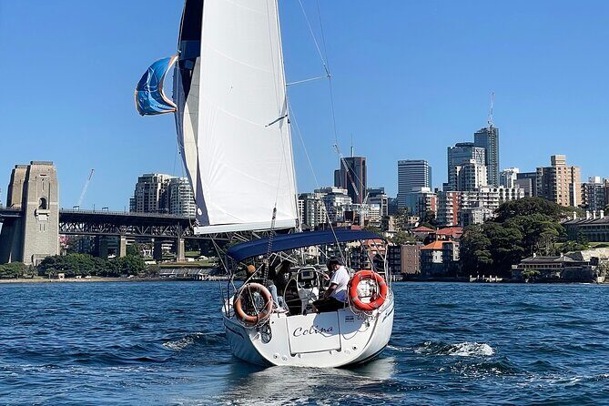 Sydney Harbour Sailing Experience - Luna Park and the Harbour Core: City Energy from the Water