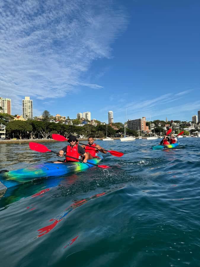 Sydney: Harbour Sunrise Kayak Tour - Where You Launch at d’Albora Marinas Rushcutters Bay and New Beach Rd