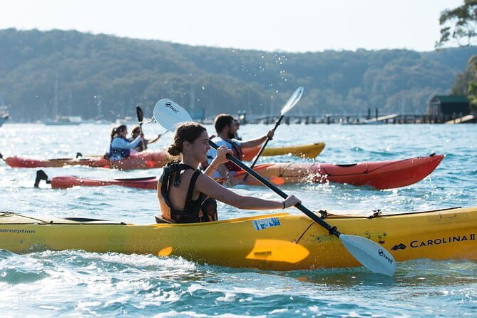 Sydney Harbour Sunset Dinner Paddle - Who This Tour Fits Best (and Who Should Skip It)