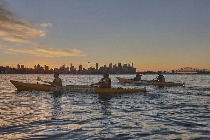 Sydney Harbour Sunset Dinner Paddle - Milk Beach to Shark Island: Why the Route Matters