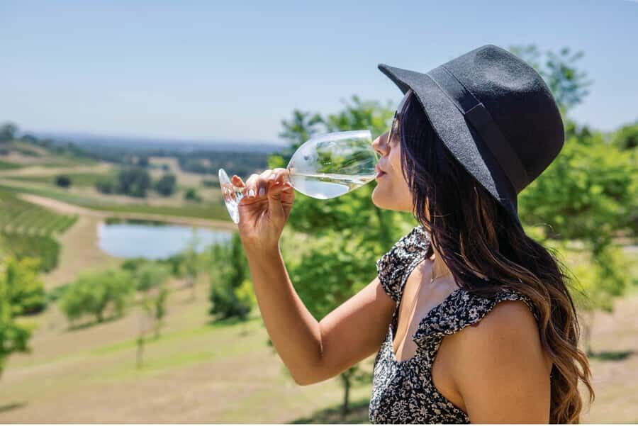 Sydney: Hunter Valley Wineries Day Trip with Food Tastings - The drive: rest stops, coffee, and settling into the day