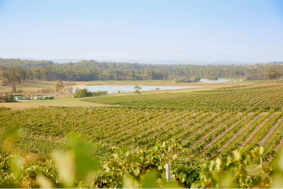 Sydney: Hunter Valley Wineries Day Trip with Food Tastings - Hunter Valley Village lunch: where you fuel up before the Olive Centre