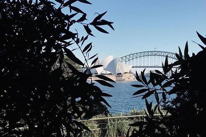 Sydney Icons & Bondi Half Day Private Tour - Sydney Harbour Bridge Photo Time Without Chaos