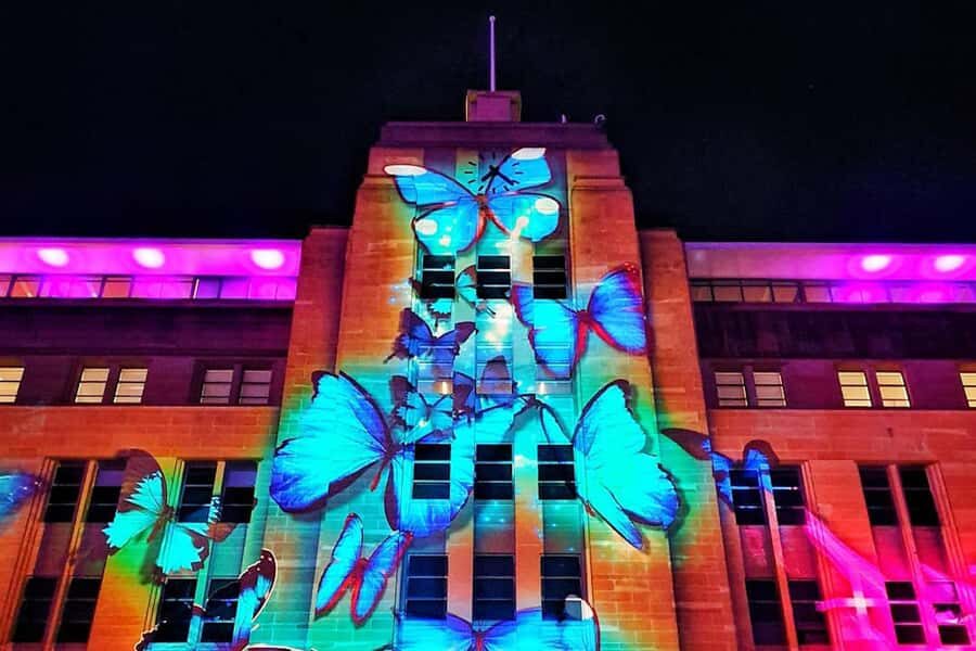 Sydney: Intimate Vivid Harbour Cruise with Canapes - The crew, skipper, and on-board vibe without formal commentary