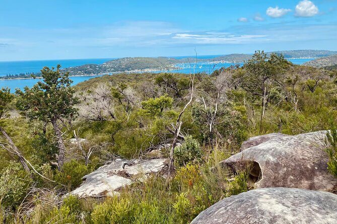 Sydney: Ku-ring-gai Chase National Park with Hike, Swim, Picnic - Leaving Sydney for Ku-ring-gai Chase National Park: What Makes It Worth the Trip