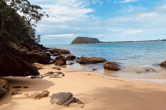 Sydney: Ku-ring-gai Chase National Park with Hike, Swim, Picnic - America Bay Lookout: A Short Trail With Big Payoff