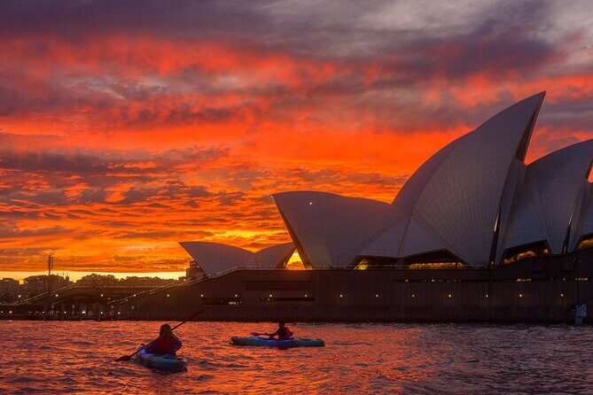 Sydney LED Lit Kayak Tour of the Opera House and Bridge - Who this tour fits best (and who should think twice)
