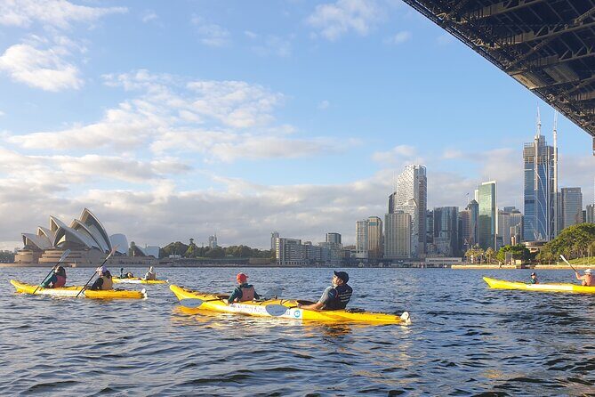 Sydney LED Lit Kayak Tour of the Opera House and Bridge - Price and value: is $99.70 worth it?