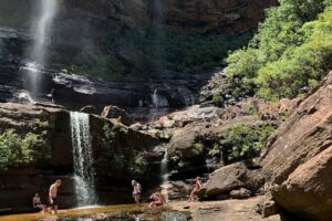 Sydney: Luxury Blue Mountains Adventure as a Small Group Day Tour - Featherdale Wildlife Park: an easy start with koalas and up-close animals