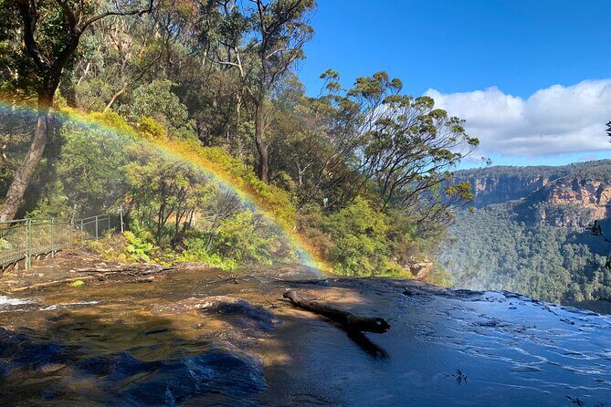 Sydney: Luxury Blue Mountains Adventure as a Small Group Day Tour - Wentworth Falls bush walk: tea-tree forests, fern gullies, and real effort