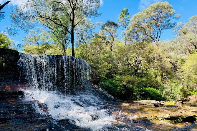 Sydney: Luxury Blue Mountains Adventure as a Small Group Day Tour - Leura Village lunch: choose your food, keep the day relaxed