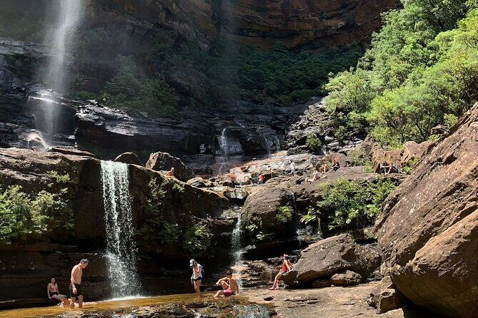 Sydney: Luxury Blue Mountains Adventure as a Small Group Day Tour - Featherdale Wildlife Park: an easy start with koalas and up-close animals