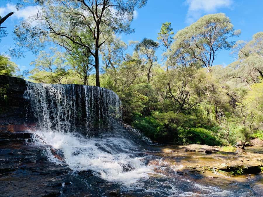 Sydney: Luxury Blue Mountains Adventure with Wentworth Falls - Leura Village Lunch and Browsing Time (The Part You’ll Actually Want to Linger)