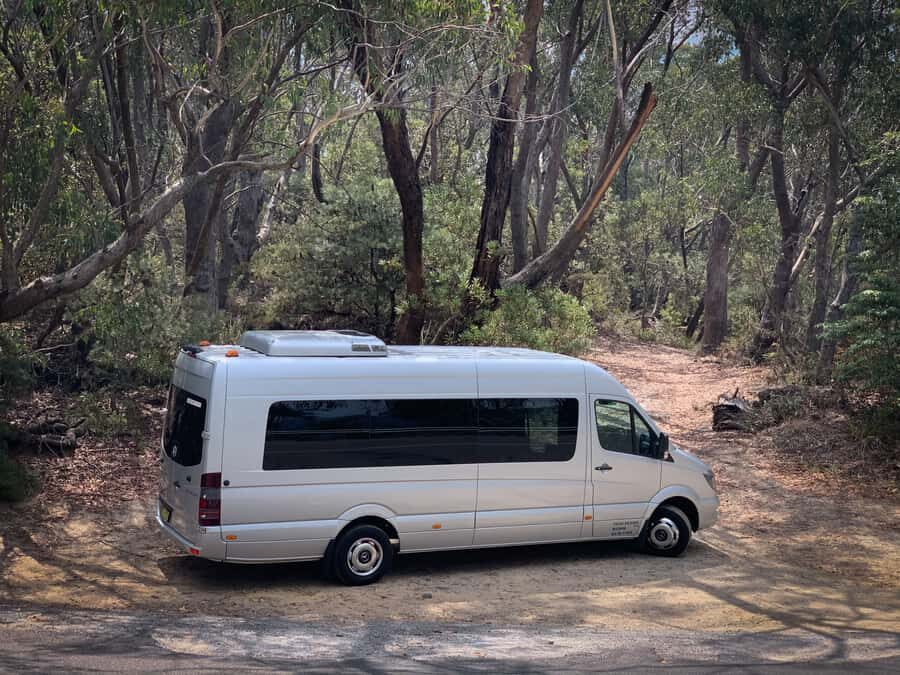 Sydney: Luxury Blue Mountains Adventure with Wentworth Falls - Who This Tour Suits Best (And Who Might Want a Different Plan)