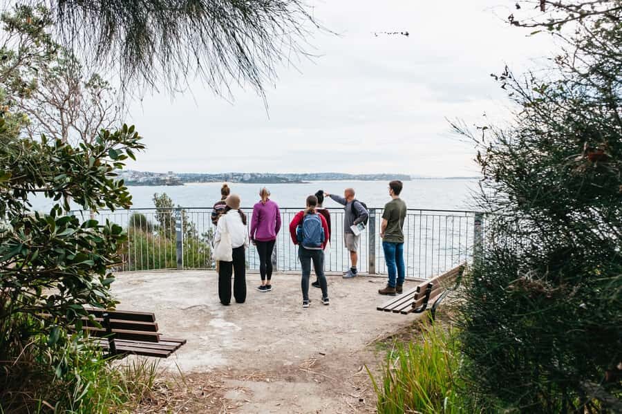 Sydney: Manly and Shelly Beach Snorkeling Tour - Getting to Manly: why Shelly Beach is a smart snorkel base